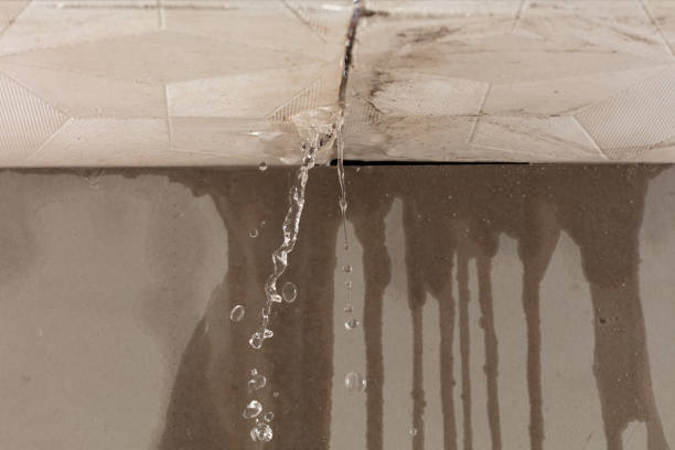 Professional Structural Drying technician working in Saint Hedwig, TX